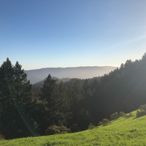 Meet your Posher, Rosie - Picture 3 of 4